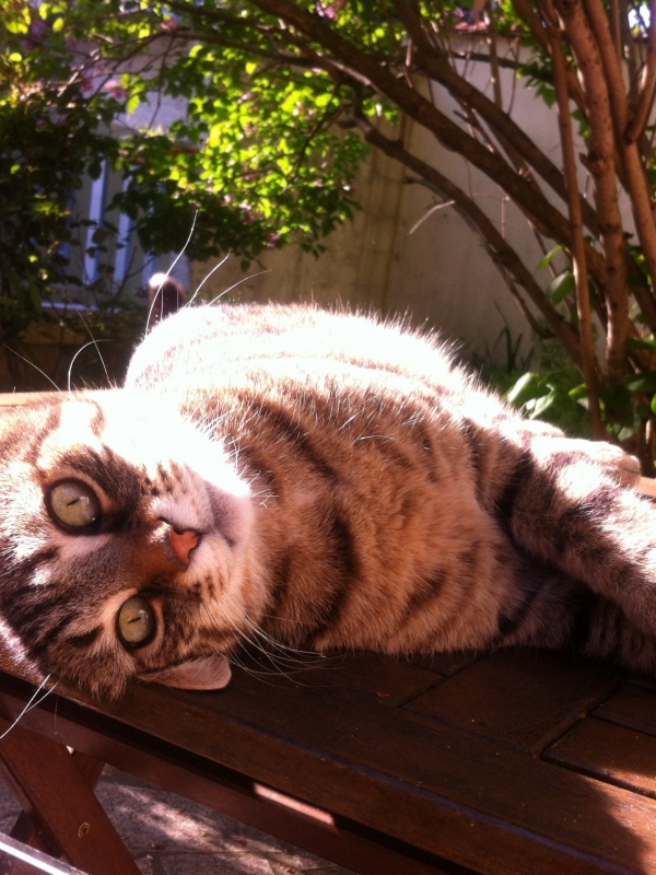 Meilleure année à nous !